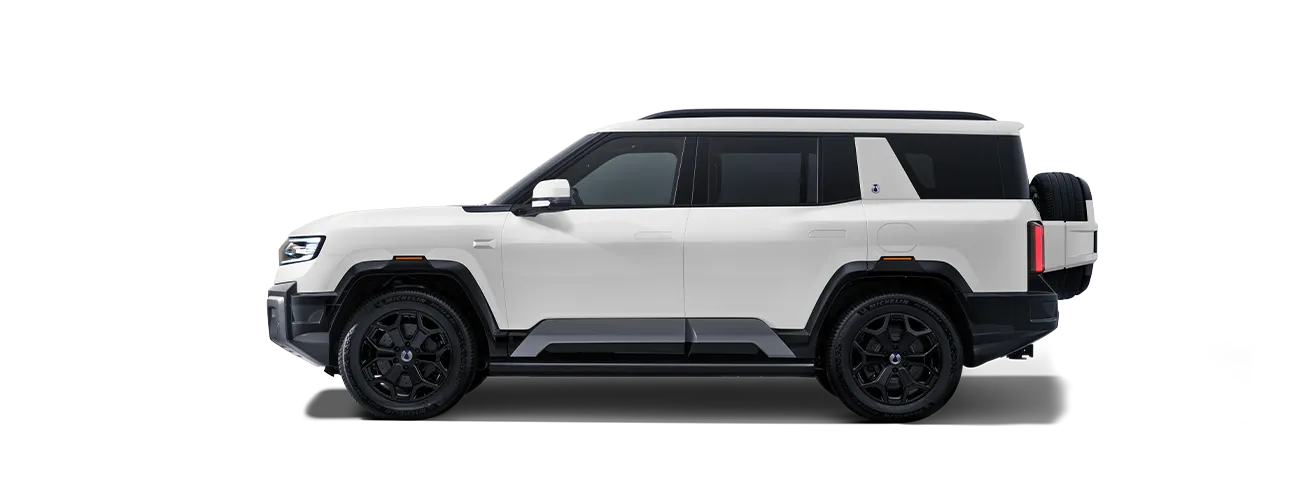 DENZA B8 in Alpine White