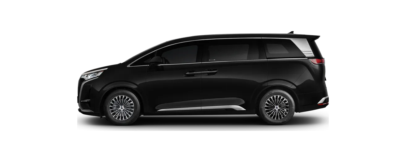 DENZA D9 in Cosmos Black